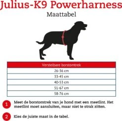 Julius K9 K9®Powertuig, S - Mini, Zwart -Fissler-winkel 1200x1189