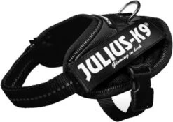 Julius K9 K9®Powertuig, S - Mini, Zwart -Fissler-winkel 1200x850