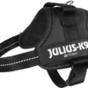 Julius K9 K9®Powertuig, S - Mini, Zwart -Fissler-winkel 1200x907